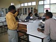 Jimma-University-College-of-Agriculture-and-Veterinary-Medicine-JUCAVM_contentfront